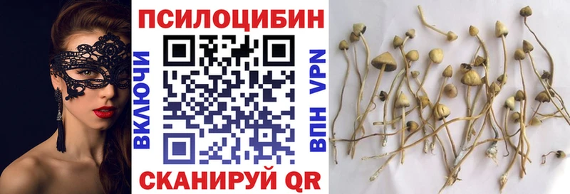 дарк нет как зайти  Черняховск  Галлюциногенные грибы прущие грибы 